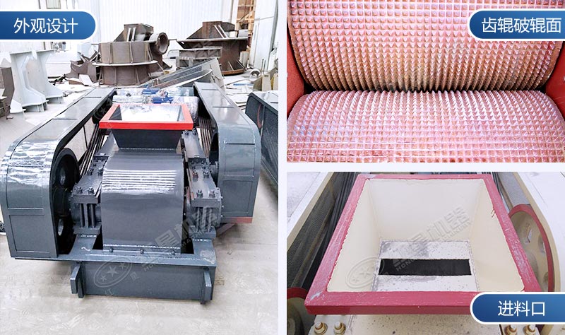 對輥破碎機結(jié)構(gòu)細節(jié)圖